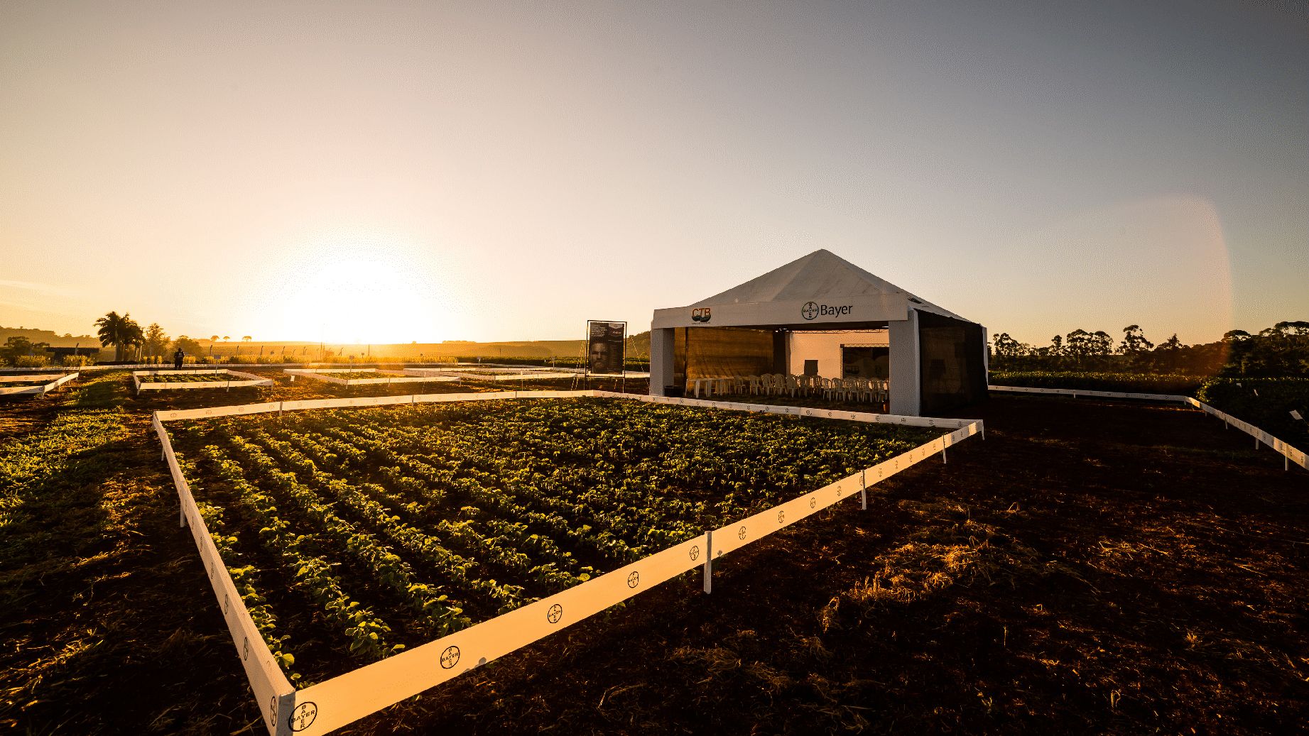 Capacitação Técnica Bayer